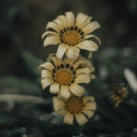 BIGLOBE WiMAX通信速度口コミ3