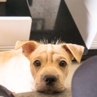 BIGLOBE WiMAXサポート口コミ1