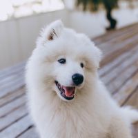 クラウドWiFiオプション口コミ3