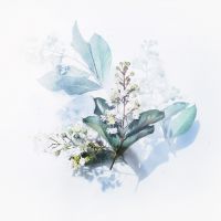 クラウドWiFiオプション口コミ2