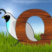 選べるWiFiキャンペーン口コミ3