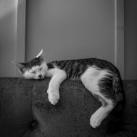 選べるWiFi料金プラン口コミ4