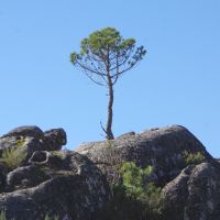 モンスターモバイルキャンペーン口コミ4