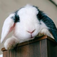 モンスターモバイルサポート口コミ1