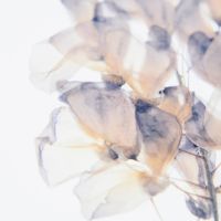 MUGEN WiFi通信速度口コミ4