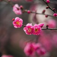 MUGEN WiFi端末口コミ4