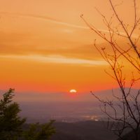 MUGEN WiFi端末口コミ2