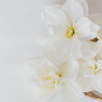 シンプルWiFiキャッシュバック口コミ2