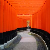 シンプルWiFi通信速度口コミ2