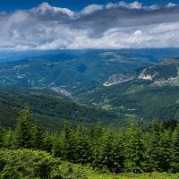 シンプルWiFi端末口コミ2