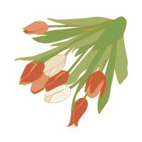 それがだいじWi-Fi月額料金口コミ1