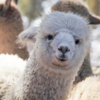 それがだいじWi-Fi通信速度口コミ1