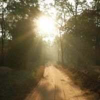 とくとくBB WiMAXサポート口コミ4