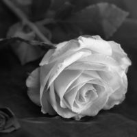 とくとくBBホームWi-Fiキャッシュバック口コミ4