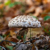 とくとくBBホームWi-Fiサポート口コミ4