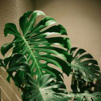 GMOとくとくBB WiMAX口コミ3