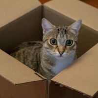 UQ WiMAXキャンペーン口コミ1