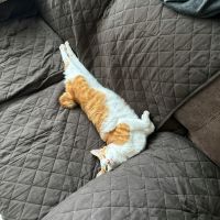 UQ WiMAX月額料金口コミ1