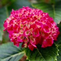 ZEUS WiFi月額料金口コミ4