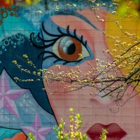 ZEUS WiFi通信速度口コミ3