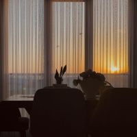 ZEUS WiFiサポート口コミ3