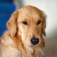 ZEUS WiFiサポート口コミ1