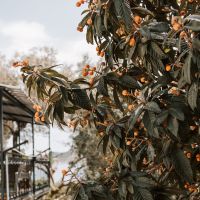 ZEUS WiFiサポート口コミ2