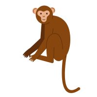 ZEUS WiFi端末口コミ2