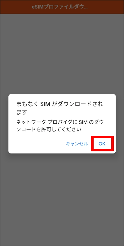 auのeSIMインストール