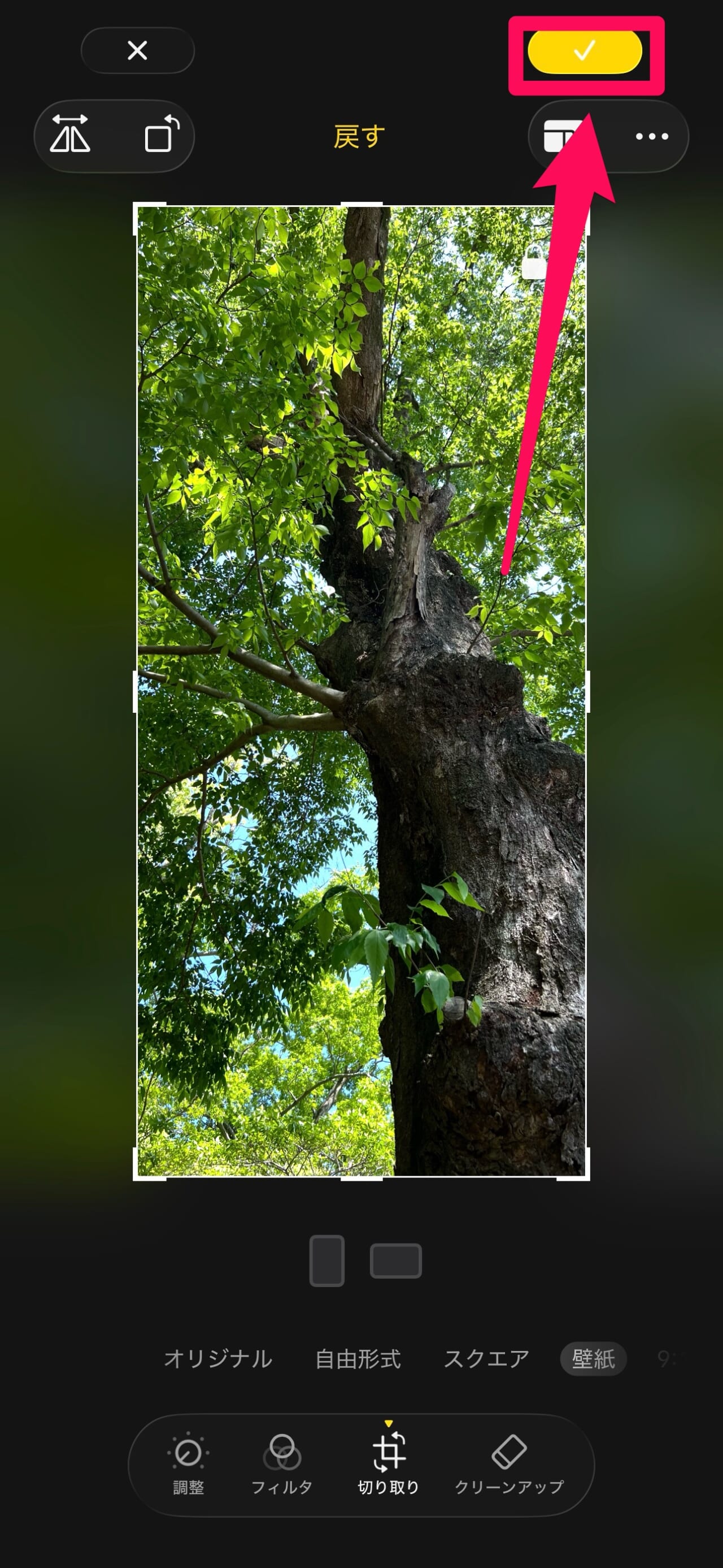 画像をトリミング-7