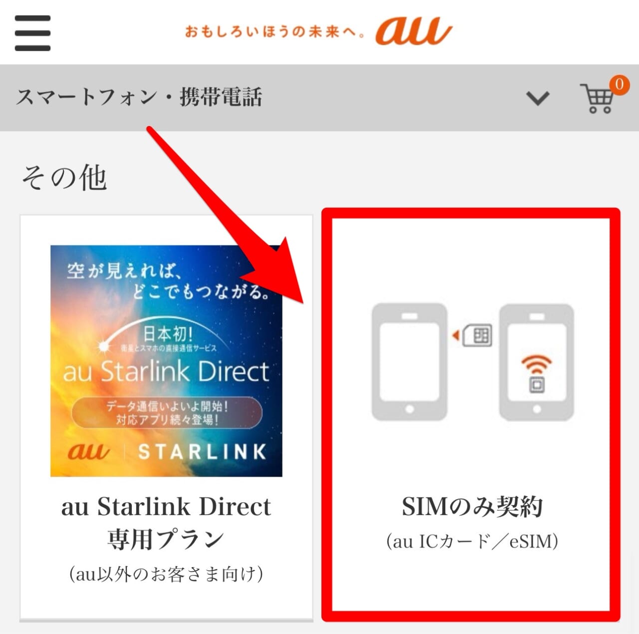 au SIMのみ契約-2