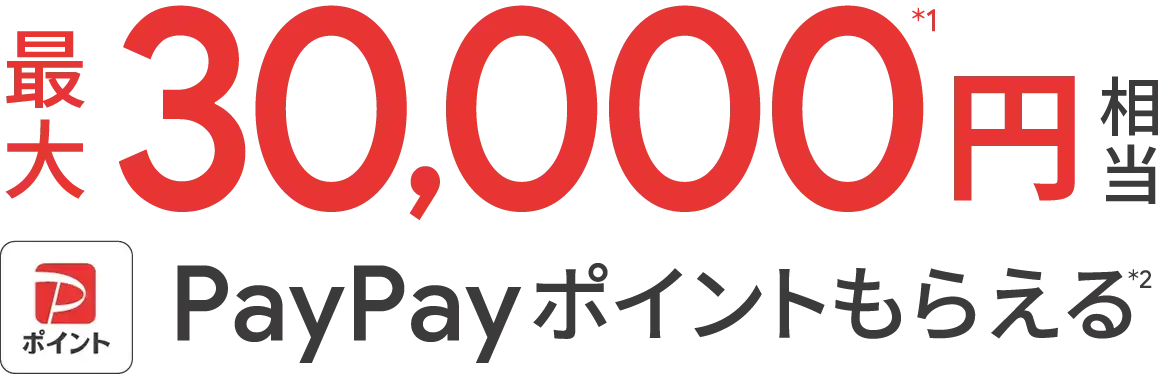 Google Pixel購入&応募で最大30,000円相当PayPayポイント還元
