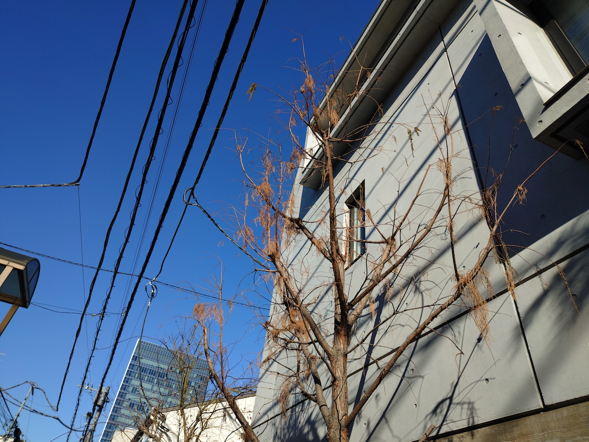 Xperia 10 VIIで撮影