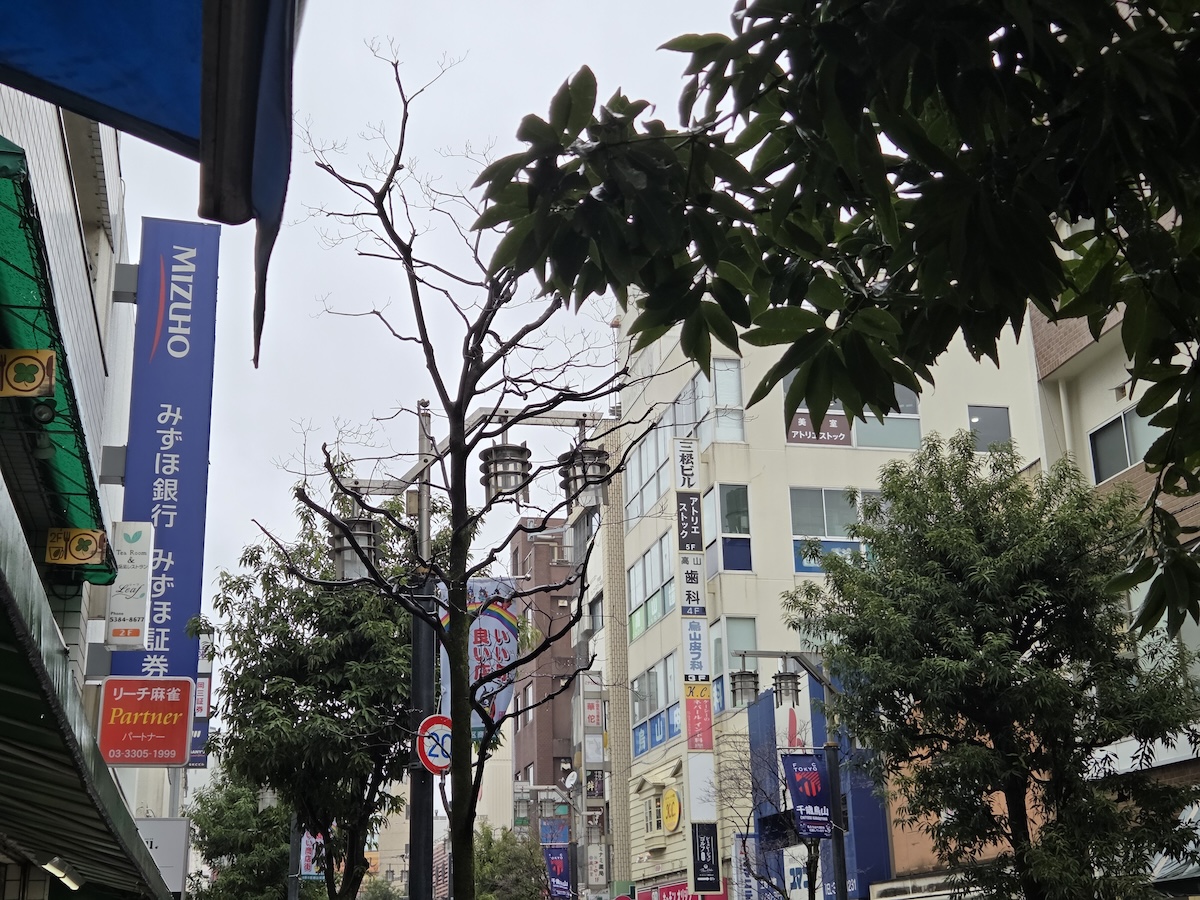 Galaxy S25