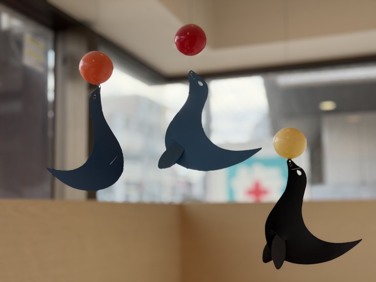 iPhone17 Proで撮影