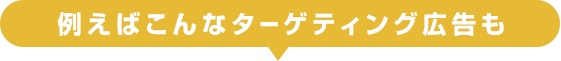 例えばこんなターゲティング広告も