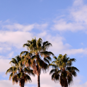 空