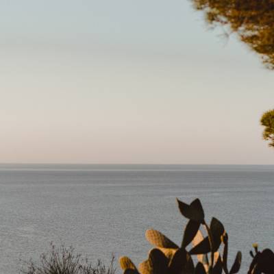 海