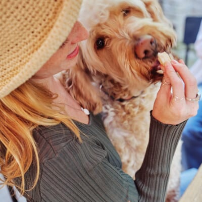 犬