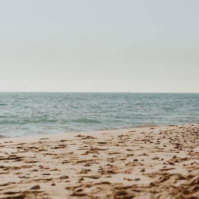 砂浜