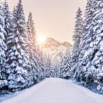 雪