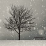 雪
