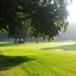 緑の公園