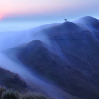 山