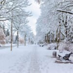 雪