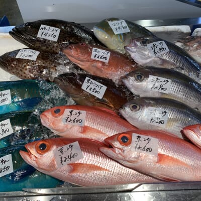魚