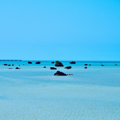 海