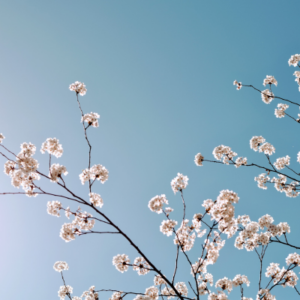 空