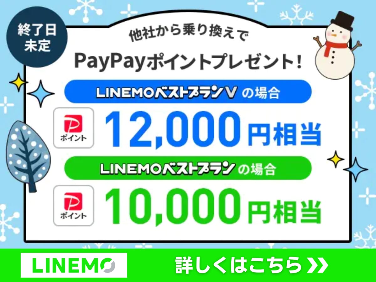 PayPayポイントプレゼントキャンペーン