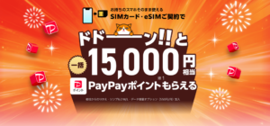 ワイモバイルの「SIM契約特典」